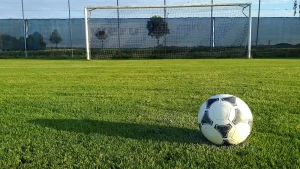 Artificial Grass For sports
