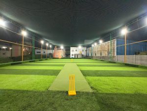 Cricket Turf